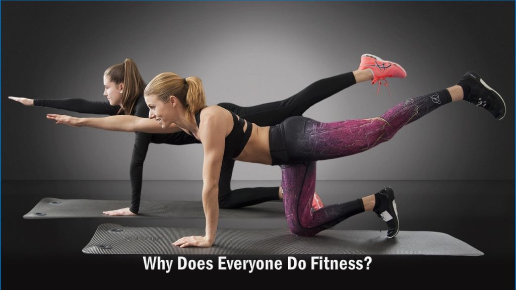 Why Does Everyone Do Fitness